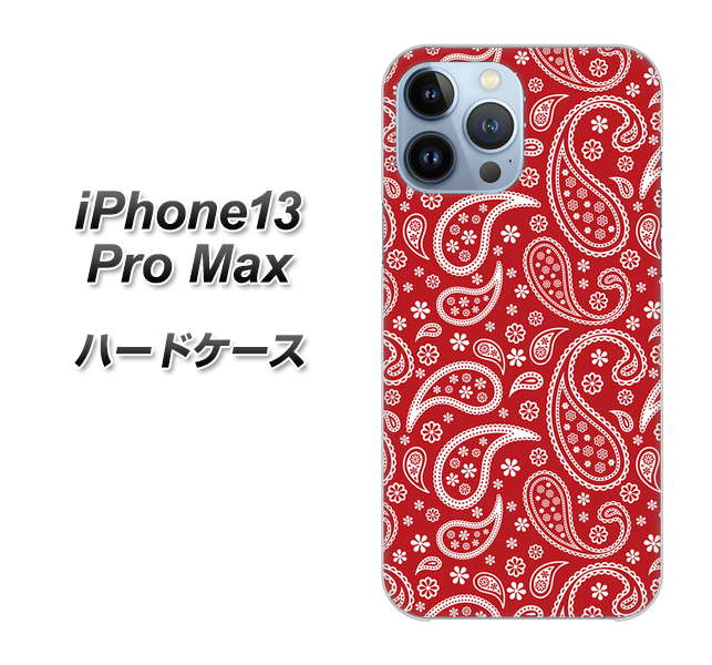 iPhone13 Pro Max 高画質仕上げ 背面印刷 ハードケース【765 ペイズリーエンジ】