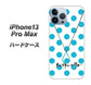 iPhone13 Pro Max 高画質仕上げ 背面印刷 ハードケース【OE821 12月ターコイズ】