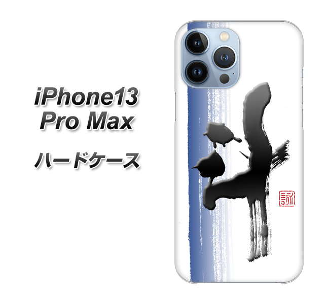iPhone13 Pro Max 高画質仕上げ 背面印刷 ハードケース【OE829 斗】
