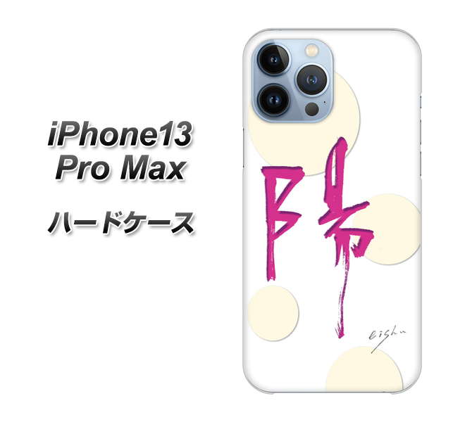 iPhone13 Pro Max 高画質仕上げ 背面印刷 ハードケース【OE833 陽】