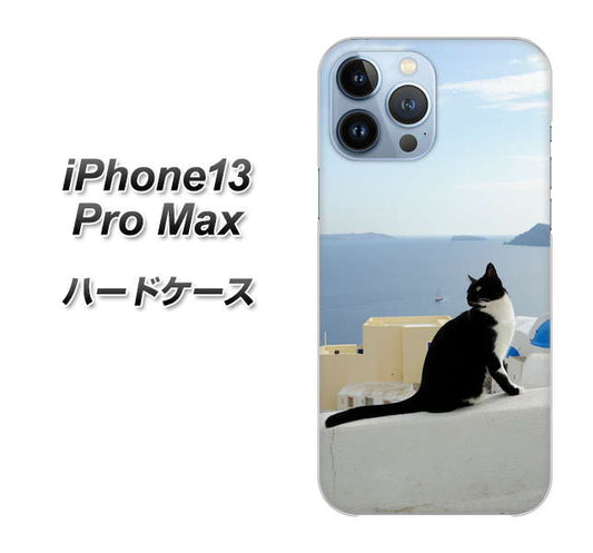 iPhone13 Pro Max 高画質仕上げ 背面印刷 ハードケース【VA805 ネコと地中海】