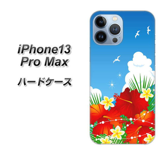 iPhone13 Pro Max 高画質仕上げ 背面印刷 ハードケース【VA821 ハイビスカスと青空】