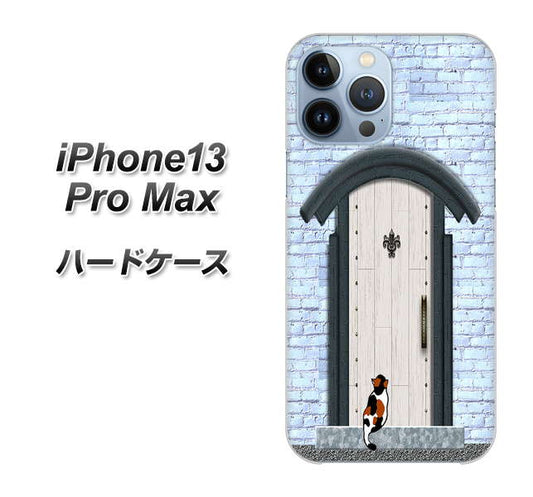 iPhone13 Pro Max 高画質仕上げ 背面印刷 ハードケース【YA951 石ドア01】