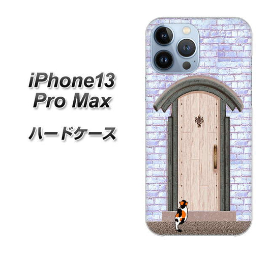 iPhone13 Pro Max 高画質仕上げ 背面印刷 ハードケース【YA952 石ドア02 素材クリア】