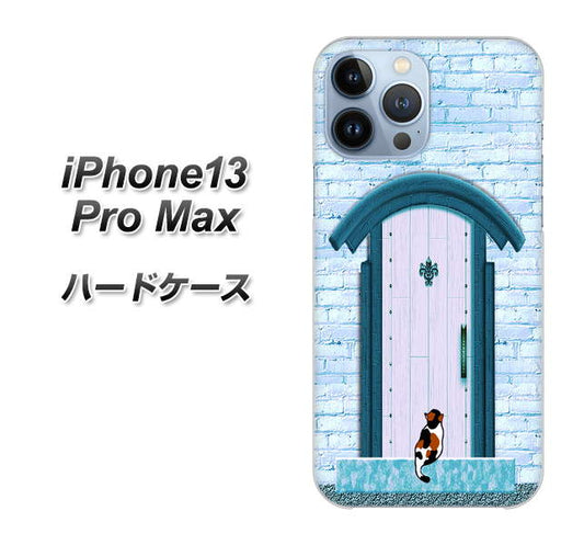 iPhone13 Pro Max 高画質仕上げ 背面印刷 ハードケース【YA953 石ドア03 素材クリア】