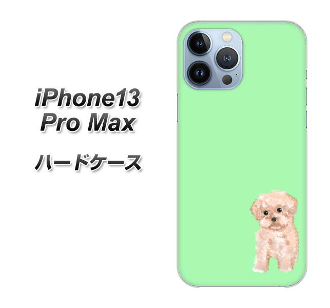 iPhone13 Pro Max 高画質仕上げ 背面印刷 ハードケース【YJ063 トイプードルアプリコット（グリーン）】