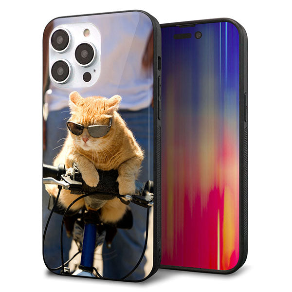 iPhone14 Pro Max 強化ガラス＆TPUスマホケース ガラプリ【595 にゃんとサイクル】