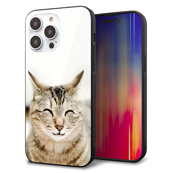 iPhone14 Pro Max 強化ガラス＆TPUスマホケース ガラプリ【VA801 笑福ねこ】