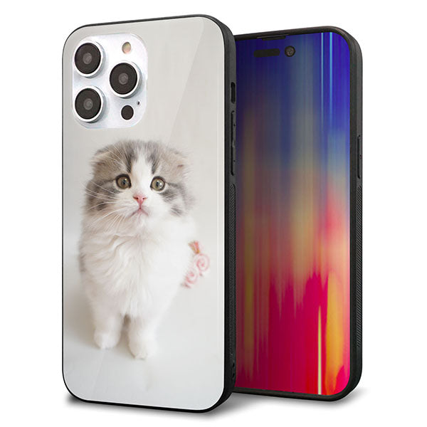 iPhone14 Pro Max 強化ガラス＆TPUスマホケース ガラプリ【VA803 まっていますネコ】