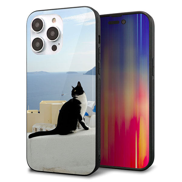 iPhone14 Pro Max 強化ガラス＆TPUスマホケース ガラプリ【VA805 ネコと地中海】