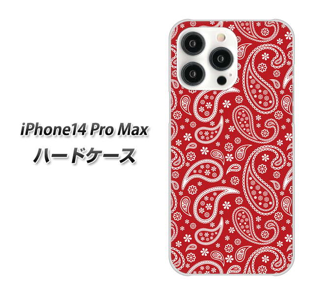 iPhone14 Pro Max 高画質仕上げ 背面印刷 ハードケース【765 ペイズリーエンジ】