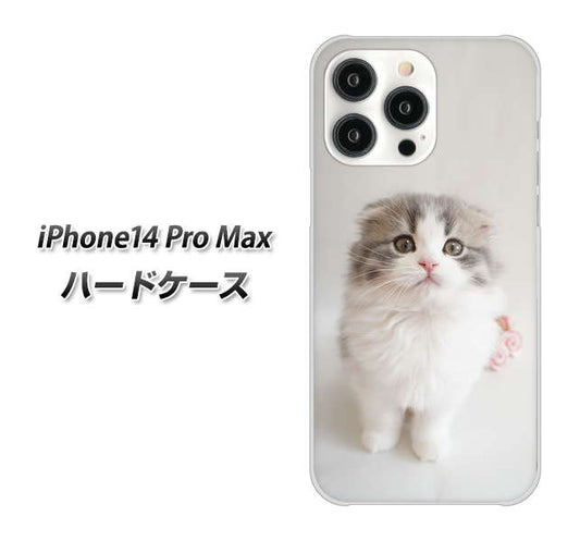 iPhone14 Pro Max 高画質仕上げ 背面印刷 ハードケース【VA803 まっていますネコ】