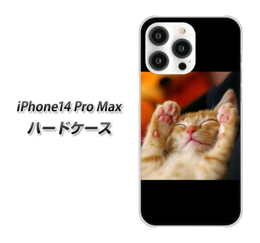 iPhone14 Pro Max 高画質仕上げ 背面印刷 ハードケース【VA804 爆睡するネコ】