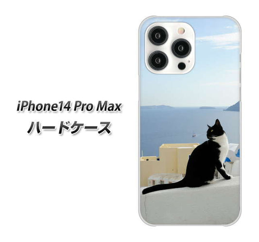 iPhone14 Pro Max 高画質仕上げ 背面印刷 ハードケース【VA805 ネコと地中海】