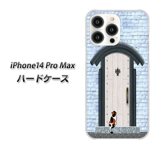 iPhone14 Pro Max 高画質仕上げ 背面印刷 ハードケース【YA951 石ドア01】