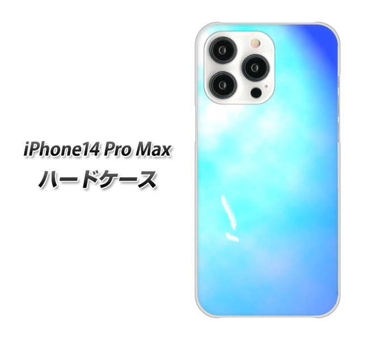 iPhone14 Pro Max 高画質仕上げ 背面印刷 ハードケース【YJ291 デザイン 光】