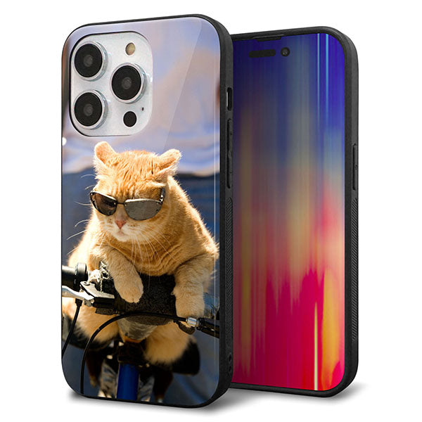 iPhone14 Pro 強化ガラス＆TPUスマホケース ガラプリ【595 にゃんとサイクル】