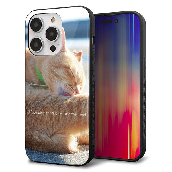 iPhone14 Pro 強化ガラス＆TPUスマホケース ガラプリ【KM876 猫】