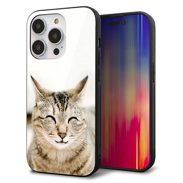 iPhone14 Pro 強化ガラス＆TPUスマホケース ガラプリ【VA801 笑福ねこ】