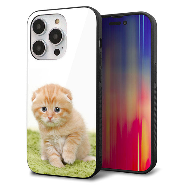 iPhone14 Pro 強化ガラス＆TPUスマホケース ガラプリ【VA802 ネコこっそり】