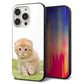 iPhone14 Pro 強化ガラス＆TPUスマホケース ガラプリ【VA802 ネコこっそり】