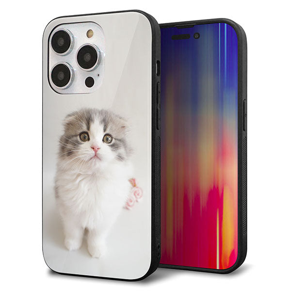 iPhone14 Pro 強化ガラス＆TPUスマホケース ガラプリ【VA803 まっていますネコ】