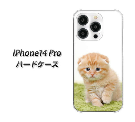 iPhone14 Pro 高画質仕上げ 背面印刷 ハードケース【VA802 ネコこっそり】