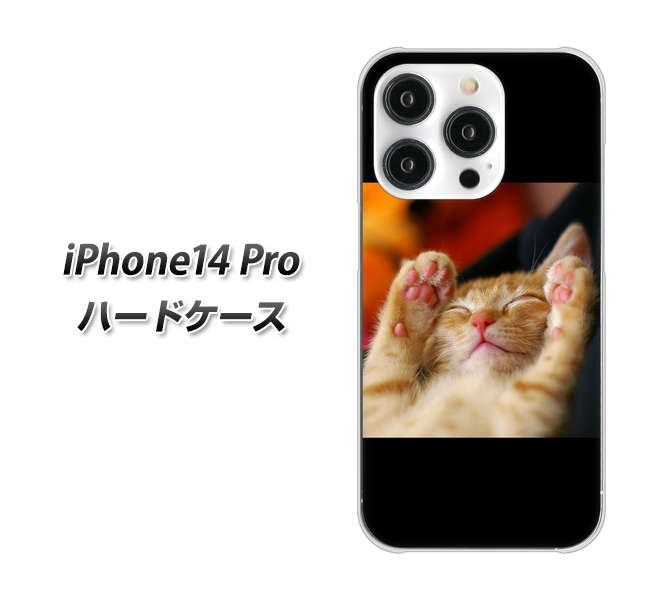 iPhone14 Pro 高画質仕上げ 背面印刷 ハードケース【VA804 爆睡するネコ】