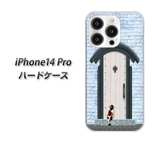 iPhone14 Pro 高画質仕上げ 背面印刷 ハードケース【YA951 石ドア01】