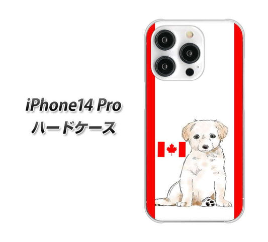 iPhone14 Pro 高画質仕上げ 背面印刷 ハードケース【YD824 ラブラドールレトリバー05】