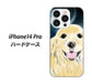 iPhone14 Pro 高画質仕上げ 背面印刷 ハードケース【YD826 ゴールデンレトリバー02】