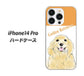 iPhone14 Pro 高画質仕上げ 背面印刷 ハードケース【YD827 ゴールデンレトリバー03】