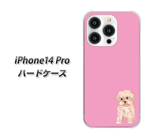 iPhone14 Pro 高画質仕上げ 背面印刷 ハードケース【YJ061 トイプードルアプリコット（ピンク）】