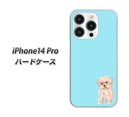 iPhone14 Pro 高画質仕上げ 背面印刷 ハードケース【YJ062 トイプードルアプリコット（ブルー）】