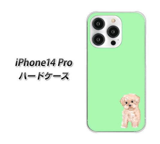 iPhone14 Pro 高画質仕上げ 背面印刷 ハードケース【YJ063 トイプードルアプリコット（グリーン）】