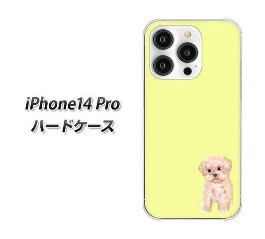 iPhone14 Pro 高画質仕上げ 背面印刷 ハードケース【YJ064 トイプードルアプリコット（イエロー）】