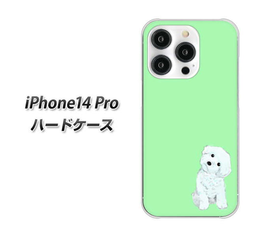 iPhone14 Pro 高画質仕上げ 背面印刷 ハードケース【YJ071 トイプードルホワイト（グリーン）】