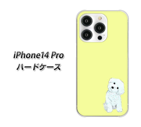 iPhone14 Pro 高画質仕上げ 背面印刷 ハードケース【YJ072 トイプードルホワイト（イエロー）】