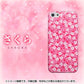 iPhone5/iPhone5s 高画質仕上げ 背面印刷 ハードケース【065 さくら】