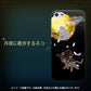 iPhone5/iPhone5s 高画質仕上げ 背面印刷 ハードケース【1115 月夜に散歩するネコ】