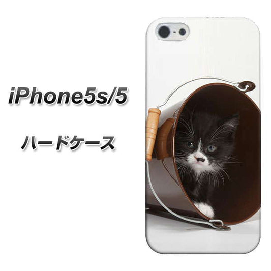 iPhone5/iPhone5s 高画質仕上げ 背面印刷 ハードケース【VA800 ネコとバケツ】