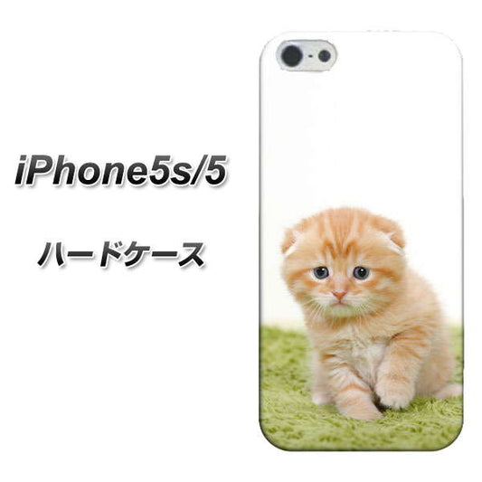 iPhone5/iPhone5s 高画質仕上げ 背面印刷 ハードケース【VA802 ネコこっそり】