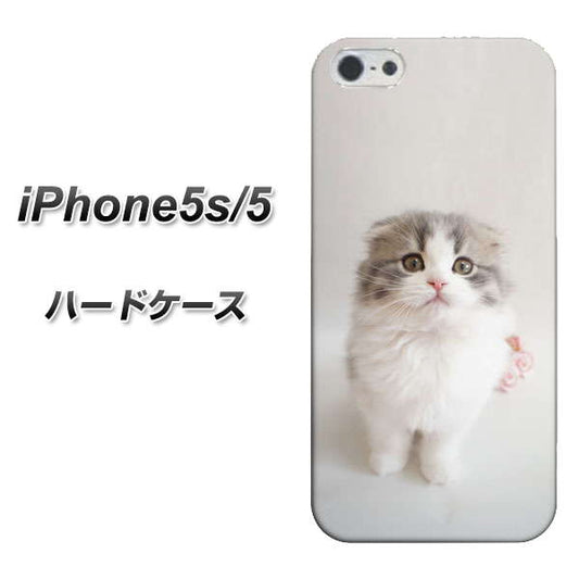 iPhone5/iPhone5s 高画質仕上げ 背面印刷 ハードケース【VA803 まっていますネコ】