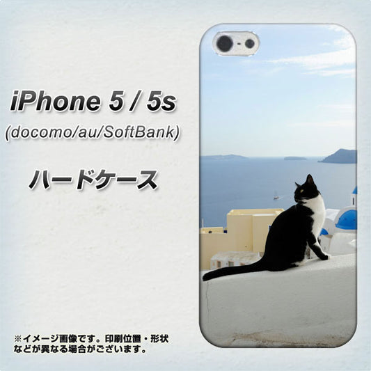 iPhone5/iPhone5s 高画質仕上げ 背面印刷 ハードケース【VA805 ネコと地中海】
