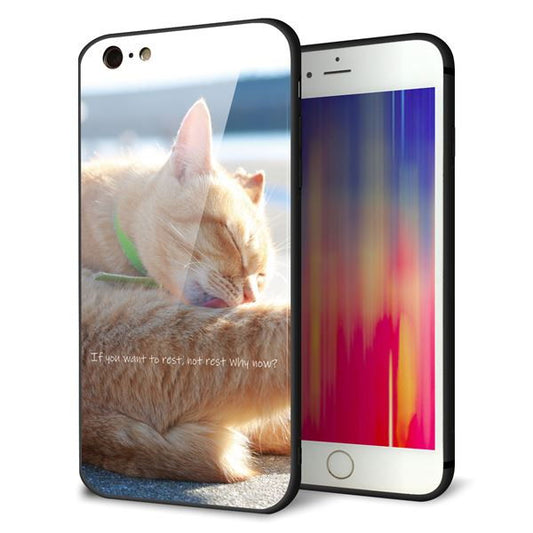iPhone6 PLUS 強化ガラス＆TPUスマホケース ガラプリ【KM876 猫】