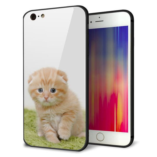 iPhone6 PLUS 強化ガラス＆TPUスマホケース ガラプリ【VA802 ネコこっそり】