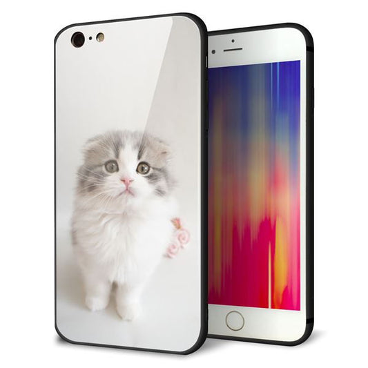 iPhone6 PLUS 強化ガラス＆TPUスマホケース ガラプリ【VA803 まっていますネコ】