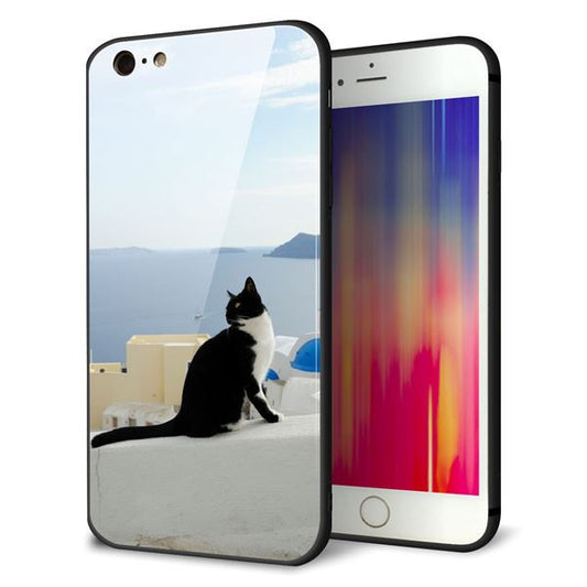 iPhone6 PLUS 強化ガラス＆TPUスマホケース ガラプリ【VA805 ネコと地中海】
