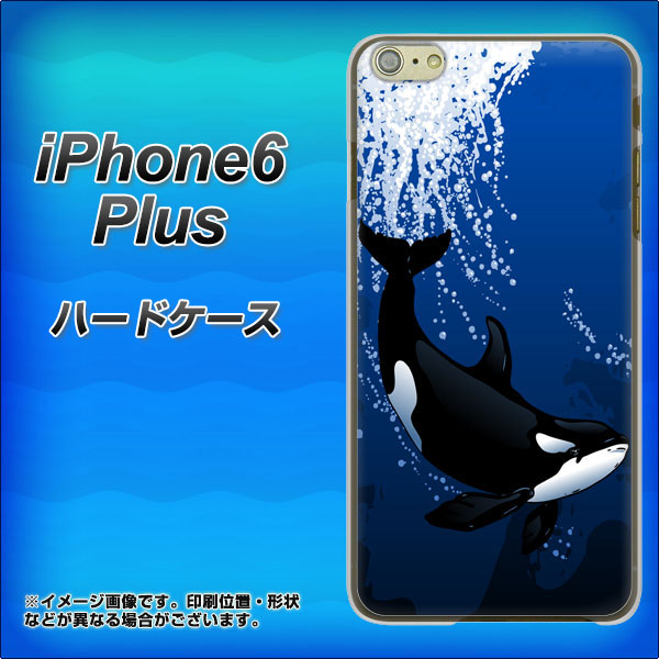 iPhone6 PLUS 高画質仕上げ 背面印刷 ハードケース【423 シャチ】