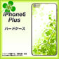 iPhone6 PLUS 高画質仕上げ 背面印刷 ハードケース【565 四葉のクローバー】